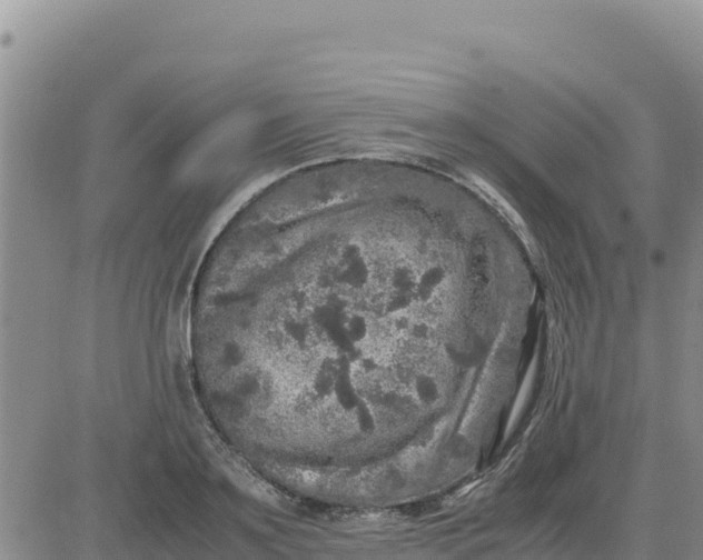 X0000080680891200612301422