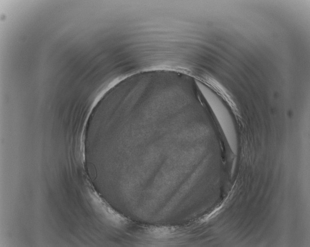 X0000080680892200612301422