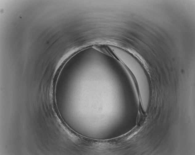 X0000080680894200612301422