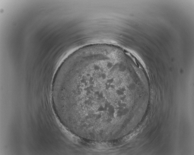 X0000080680895200612301422