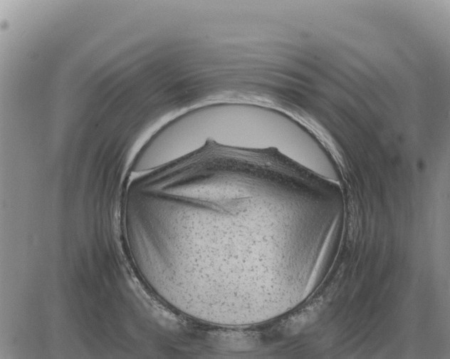 X0000080680896200612301422