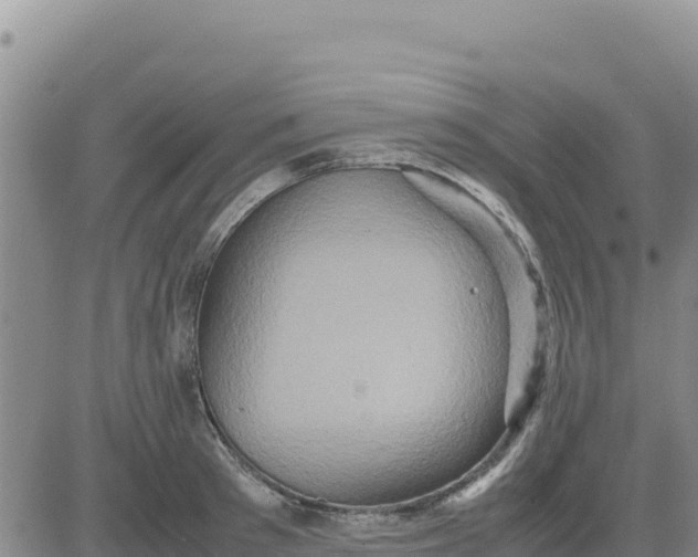 X0000080680897200612301422