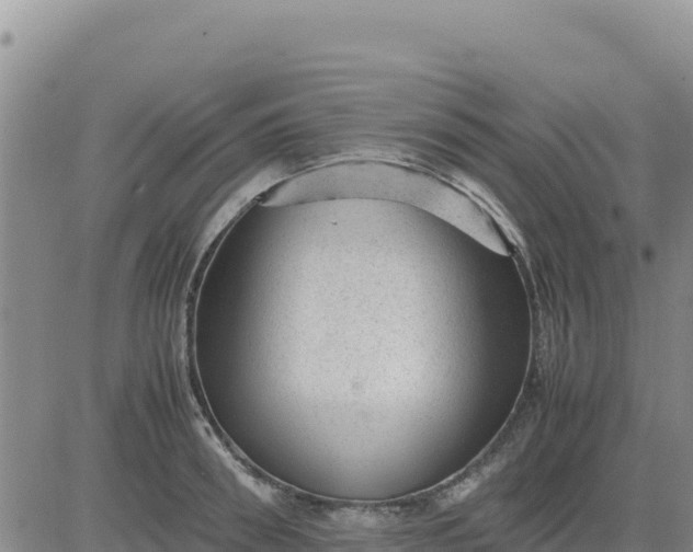 X0000080680898200612301422