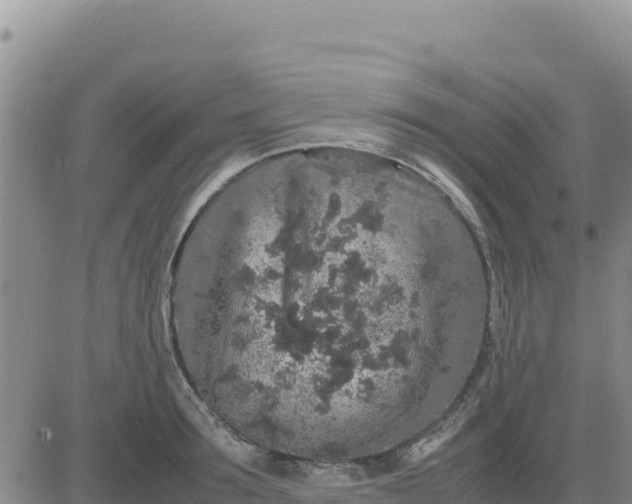 X0000080680899200612301422