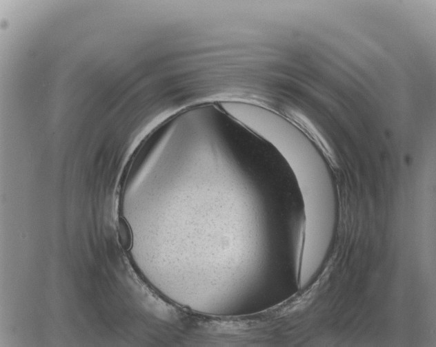 X0000080680900200612301422