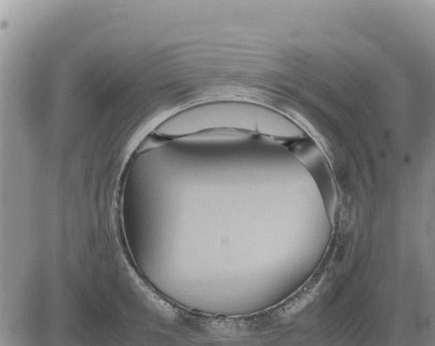 X0000080680901200612301422