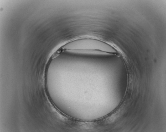 X0000080680902200612301422