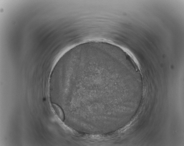 X0000080680903200612301422