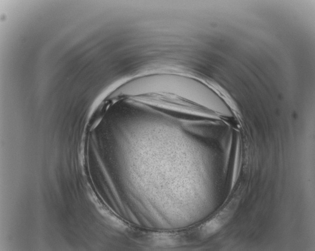 X0000080680904200612301422