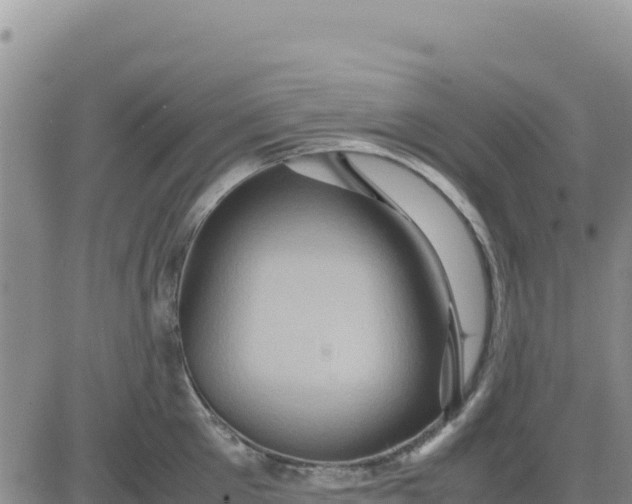 X0000080680905200612301422