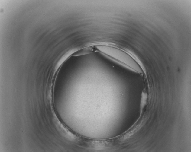 X0000080680906200612301422