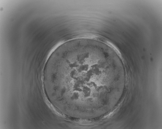 X0000080680907200612301422