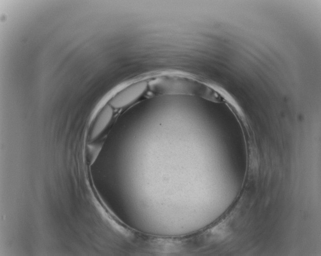 X0000080680910200612301421