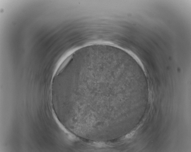 X0000080680911200612301421