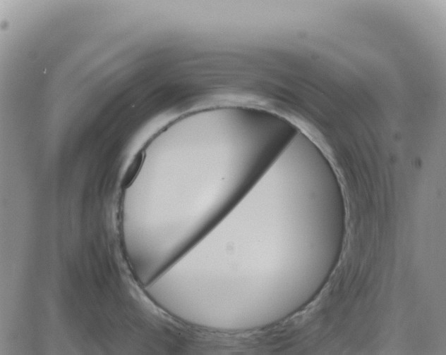 X0000080680912200612301421