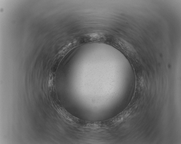 X0000080680914200612301421