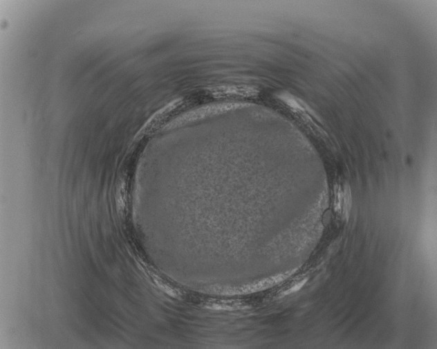 X0000080680915200612301421