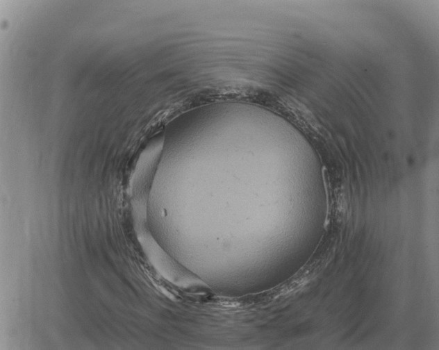 X0000080680916200612301421