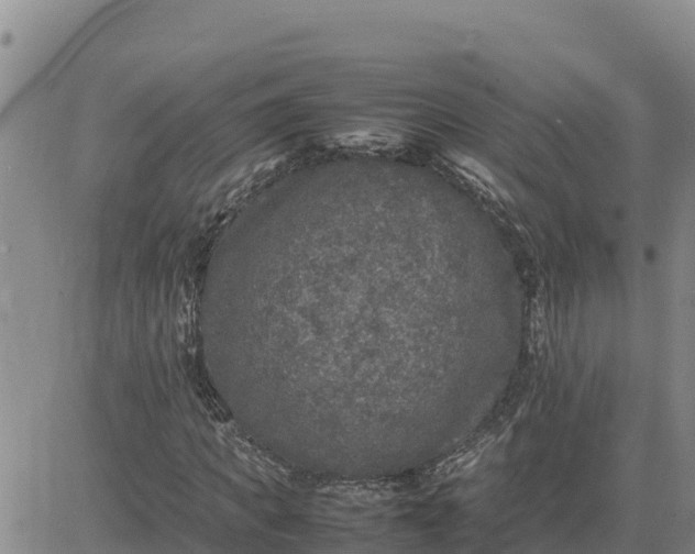 X0000080680917200612301421