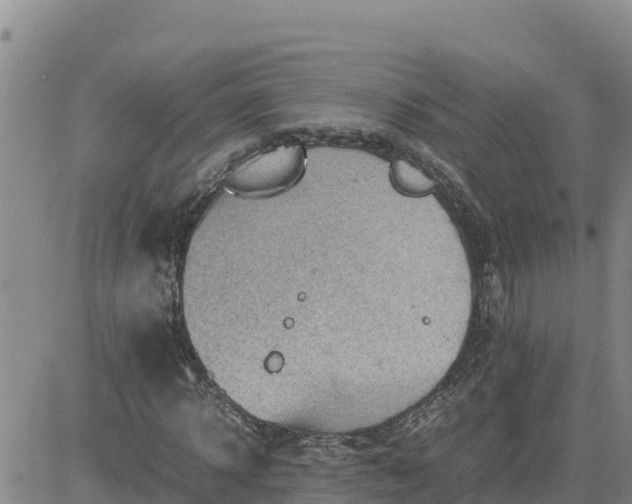 X0000080680918200612301421