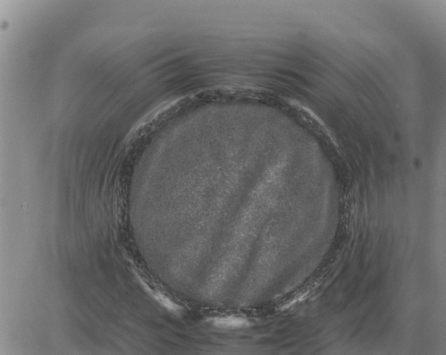 X0000080680919200612301421