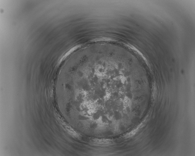 X0000080680921200612301421