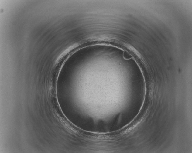 X0000080680922200612301421