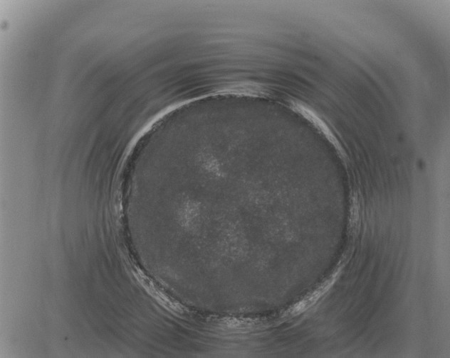 X0000080680923200612301421