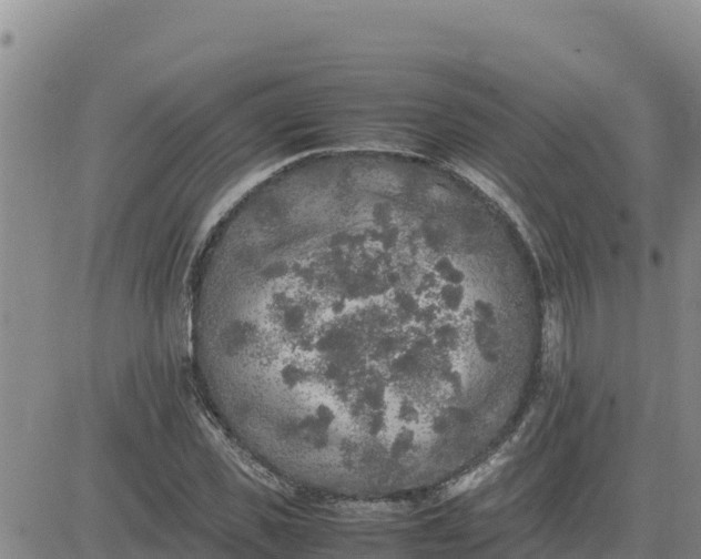 X0000080680925200612301421