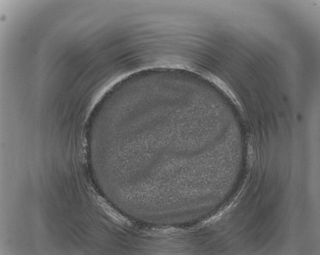 X0000080680926200612301421