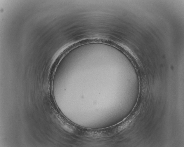 X0000080680927200612301421