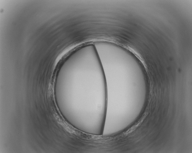 X0000080680928200612301421