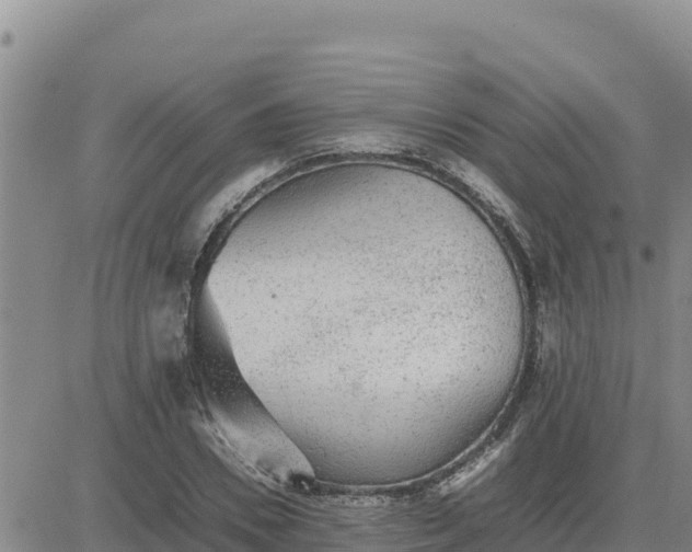 X0000080680930200612301421