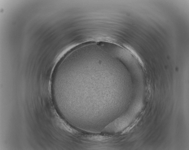 X0000080680932200612301421