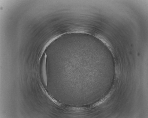 X0000080680933200612301421