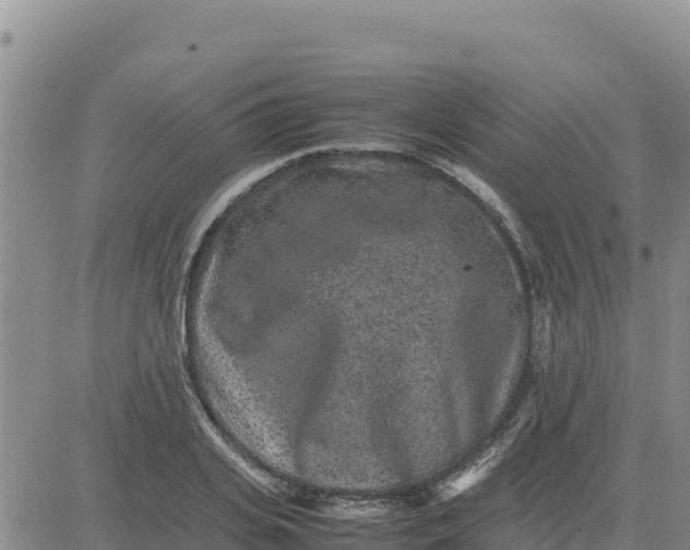 X0000080680935200612301421