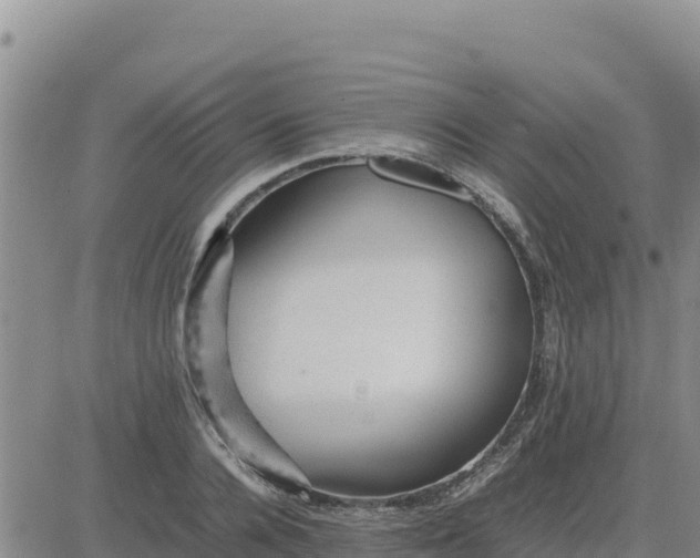 X0000080680936200612301421