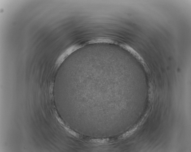 X0000080680937200612301421