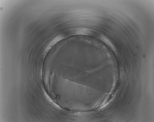 X0000080680938200612301421