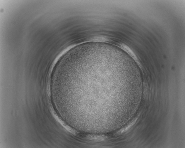 X0000080680939200612301421