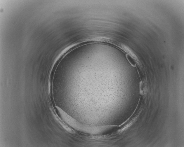 X0000080680940200612301421