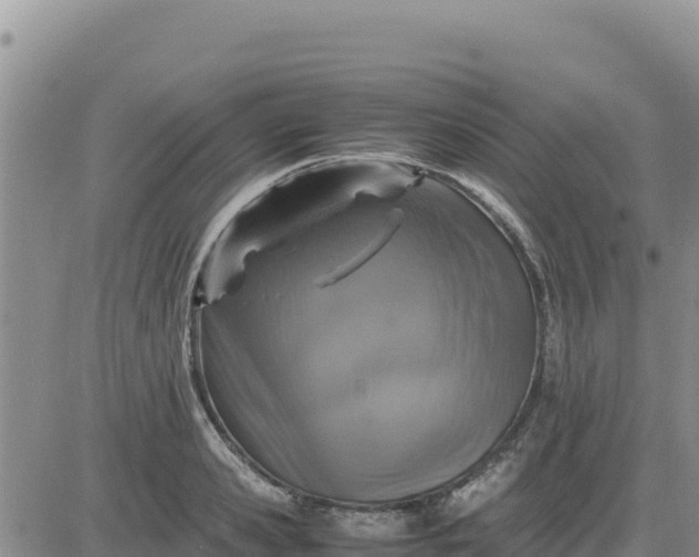 X0000080680941200612301421