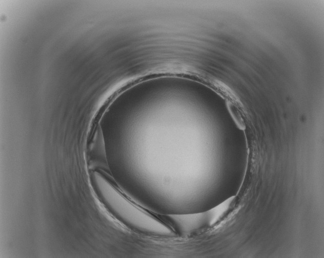 X0000080680942200612301421