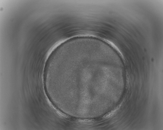 X0000080680943200612301421