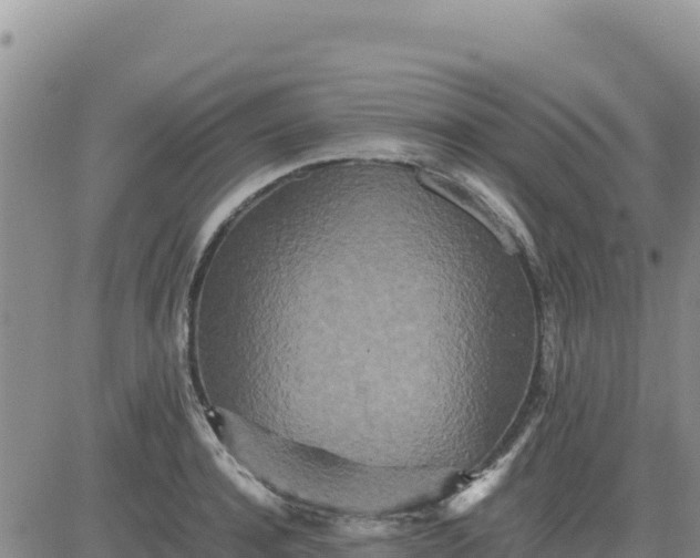 X0000080680944200612301421