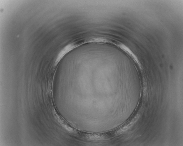 X0000080680945200612301421