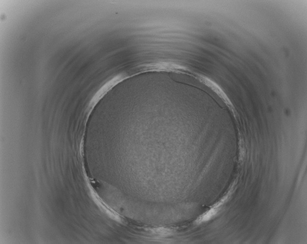 X0000080680946200612301421