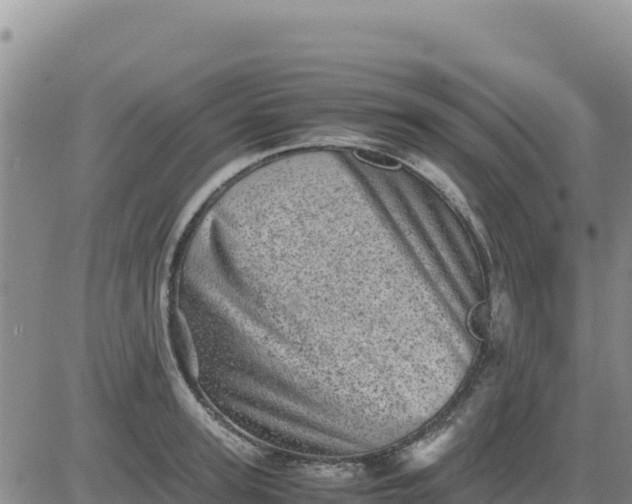 X0000080680947200612301421