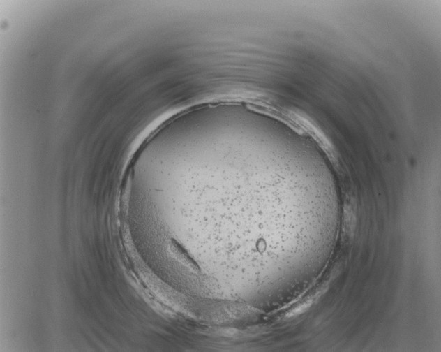 X0000080680948200612301421