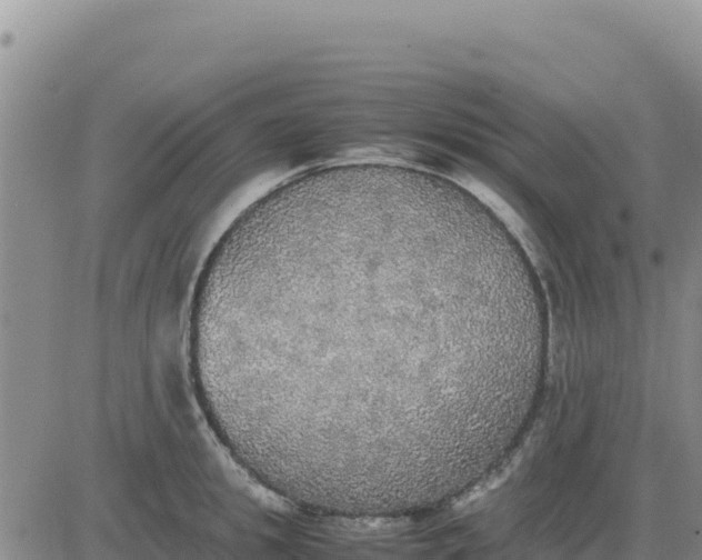 X0000080680949200612301421